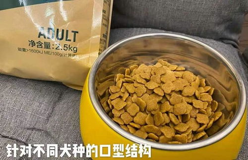 耐威克狗糧 鎖定挑剔胃口，為愛(ài)寵開(kāi)啟“好吃不貴”的私享時(shí)光