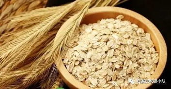 有對(duì)象到單身的距離，只差這谷物副產(chǎn)品